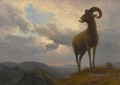 BIGHORN SHEEP Amerikaner Albert Bierstadt
